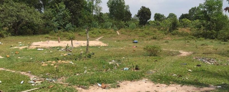 55937538_389339341648367_9201851845520130048_n