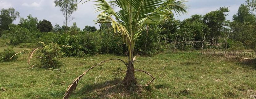 56191375_2076021629183108_48898022276333568_n