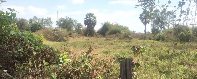 photo_2019-02-21_16-35-33