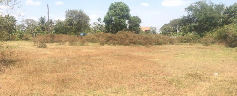 photo_2019-02-21_16-36-51