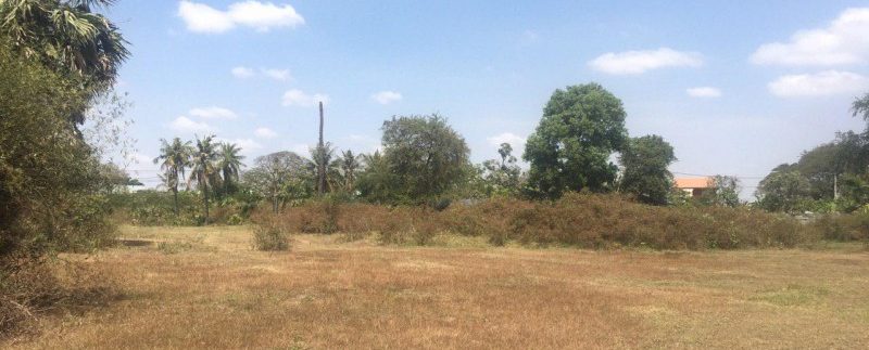 photo_2019-02-21_16-36-56