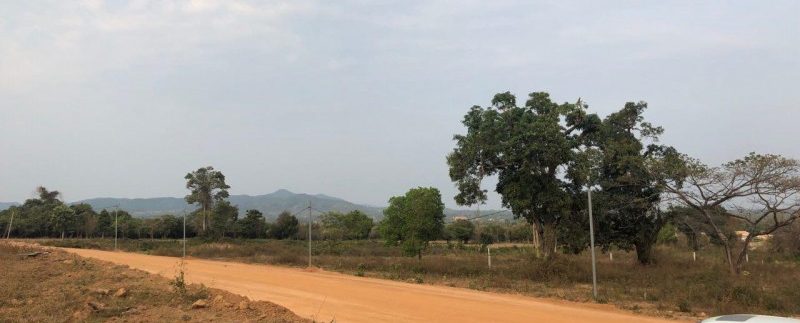 photo_2019-03-16_09-32-18