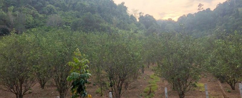 photo_2019-03-16_09-39-31