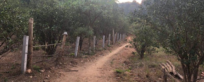 photo_2019-03-16_09-39-37