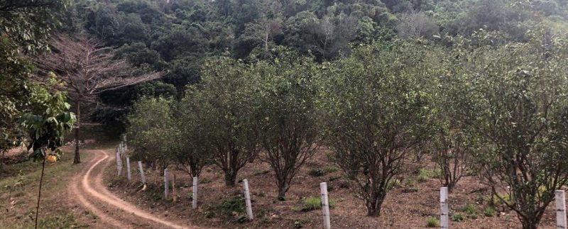 photo_2019-03-16_09-39-38