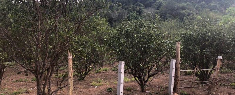 photo_2019-03-16_09-39-39