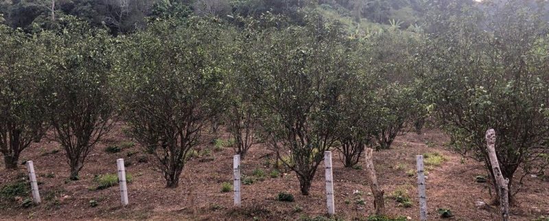 photo_2019-03-16_09-39-40 (2)