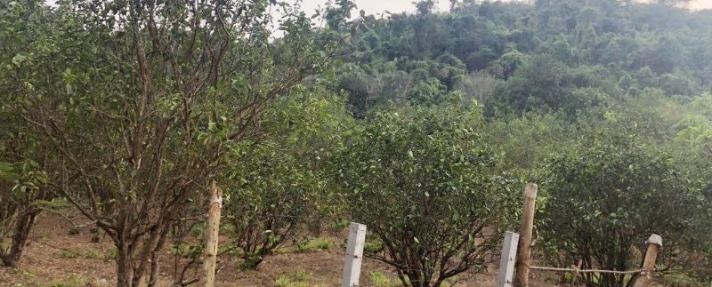 photo_2019-03-16_09-39-40