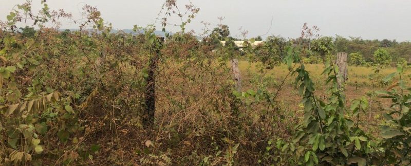 photo_2019-03-16_09-43-11 (2)