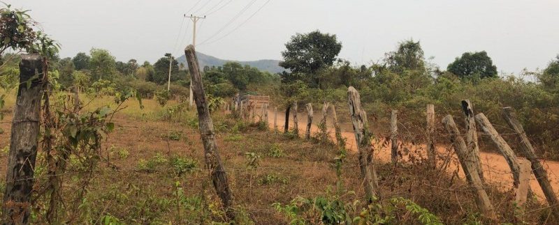 photo_2019-03-16_09-43-11