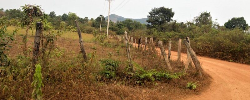 photo_2019-03-16_09-43-14