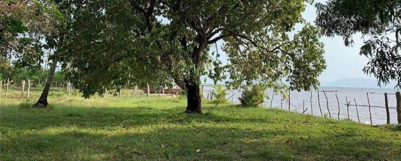 photo_2019-03-22_13-44-32