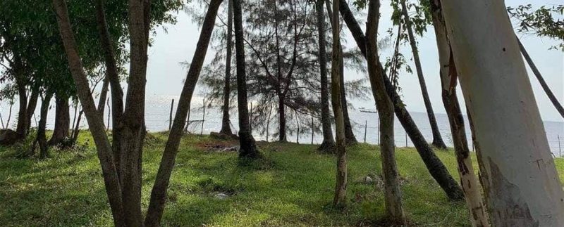 photo_2019-03-22_13-44-33