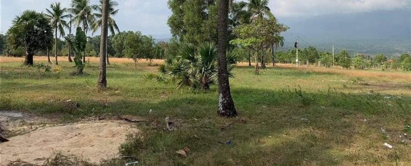 photo_2019-03-22_13-44-38