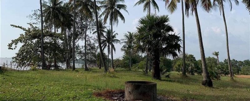 photo_2019-03-22_13-44-39