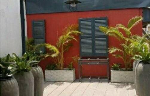 56624580_728802077518065_4010233521443438592_n