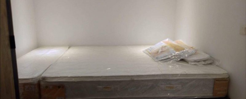 56673010_2213325465663658_6570996209907924992_n