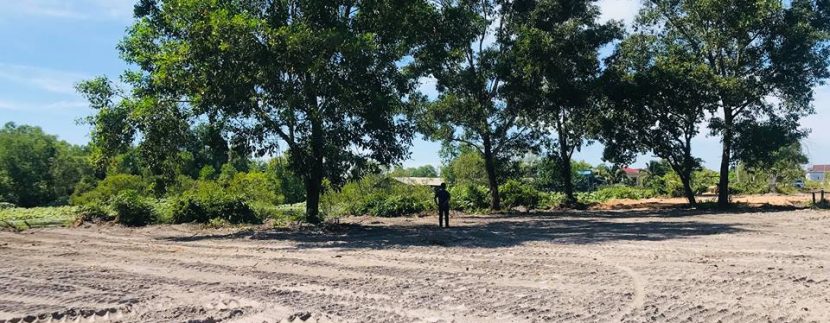 56716243_281825322729402_7767810283120099328_n