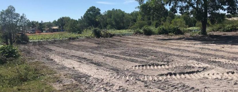 57049068_416683339161059_754496904888320000_n