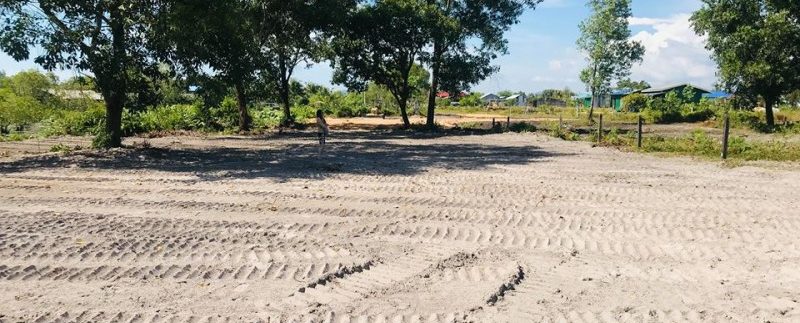 57122289_316702392343045_8589734678452240384_n