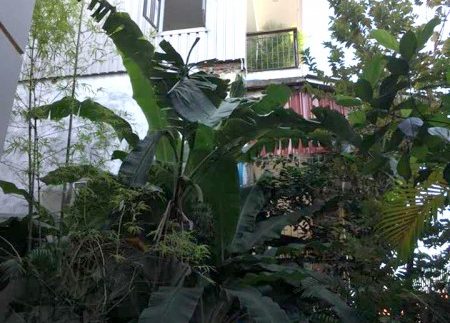 57703243_572252566597941_6873133844782907392_n