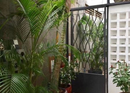 57852496_605652243240671_1565504545621016576_n