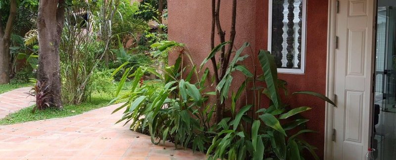 photo_2019-04-09_11-50-17