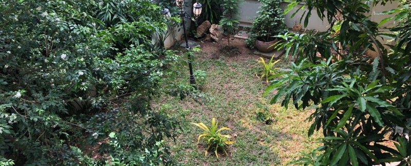 photo_2019-04-10_10-36-43 (2)