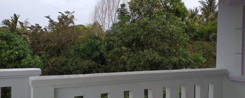 59808458_356906454944756_8759656138871406592_n