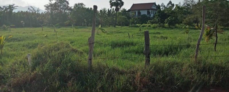 photo_2019-05-17_16-48-31