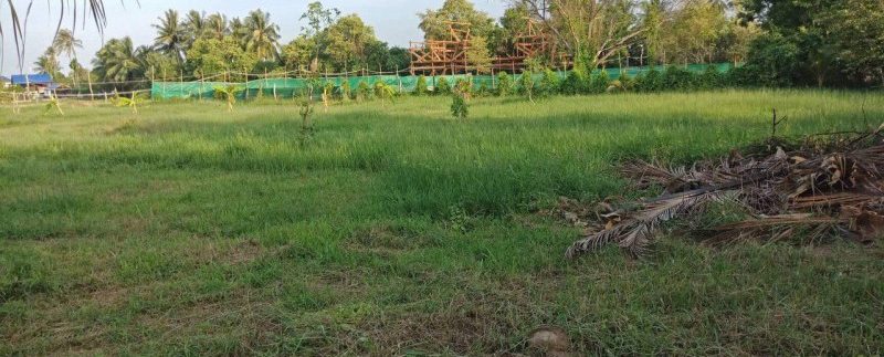 photo_2019-05-17_16-56-52