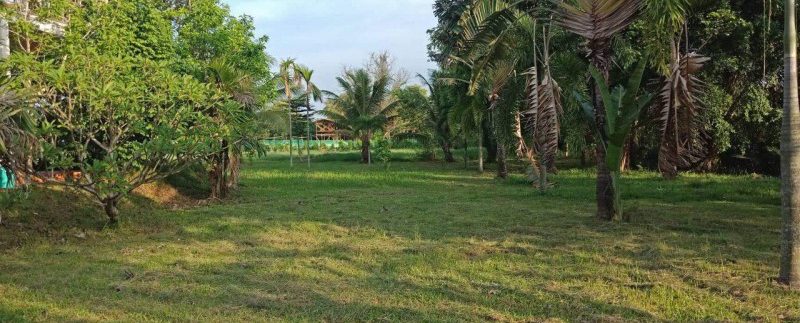 photo_2019-05-17_16-57-05