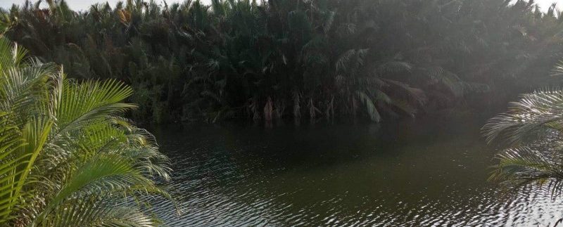 photo_2019-05-17_16-57-48