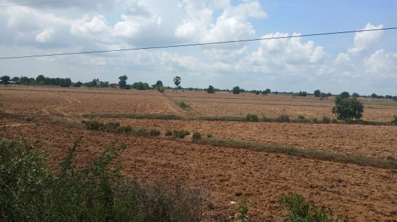 61723595_1413093772164087_7786369584130424832_n