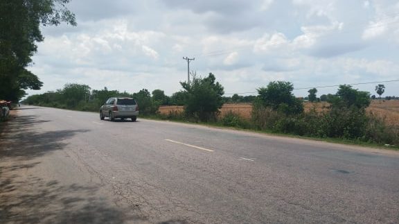 62018423_805429213162209_2302803675606679552_n