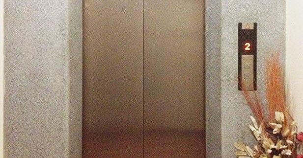 62172225_352383245464728_8401529735527530496_n