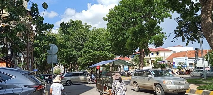 62402111_452645375532114_6894756479677497344_n