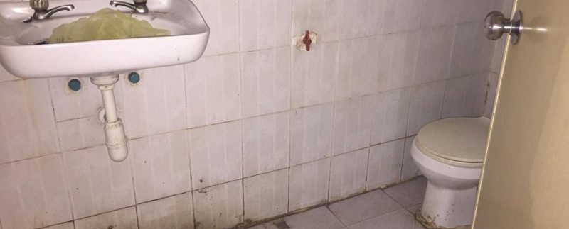 62483072_499941667479907_1453295153463689216_n