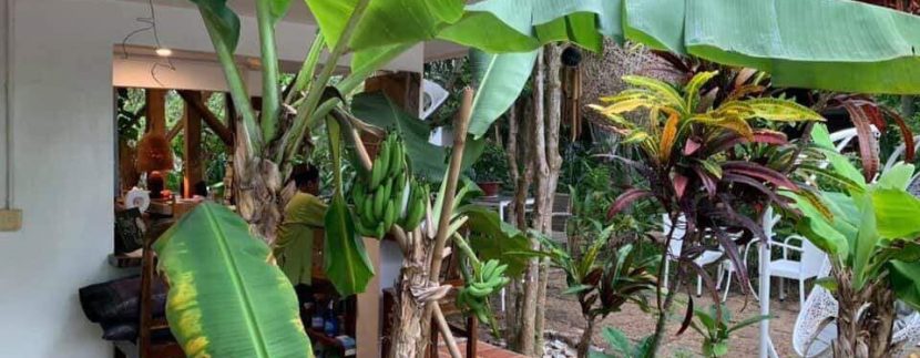 photo_2019-06-20_12-58-44