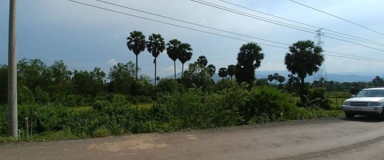 65025909_551750551897925_9090930913486831616_n