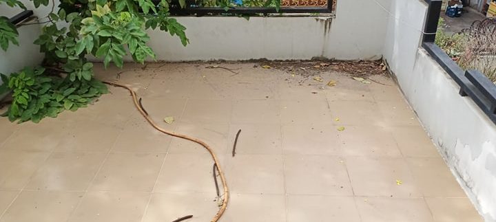 66840020_931720847168668_1712848934923141120_n