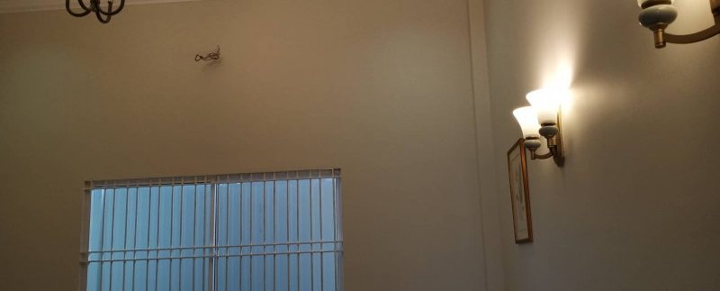 67090575_691756224602994_2580819829254520832_n