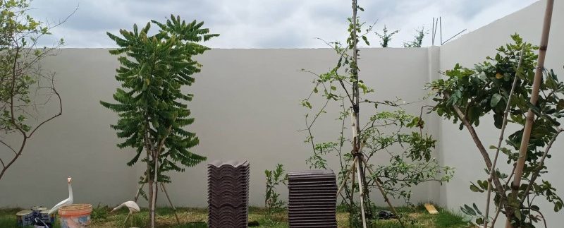 67093632_498150824284965_1591522731650711552_n