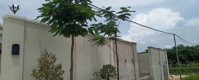 67404394_474785303338926_5912926917157191680_n