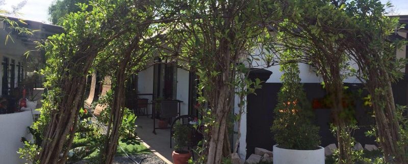 photo_2019-07-18_11-25-08