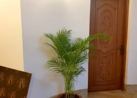 photo_2019-07-18_11-38-59 (4)