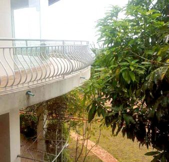 photo_2019-07-18_11-54-18