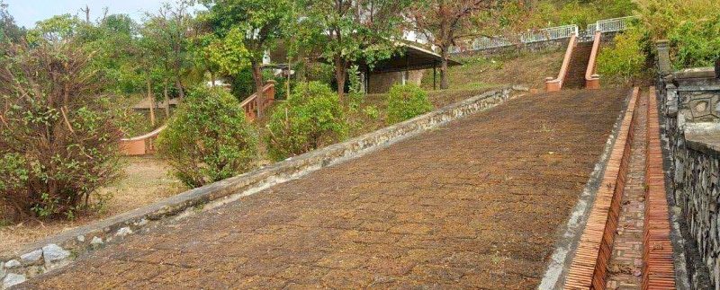 photo_2019-07-18_11-54-21 (7)