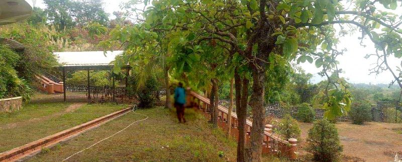 photo_2019-07-18_11-54-22