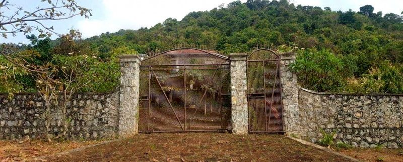 photo_2019-07-18_11-54-24 (2)